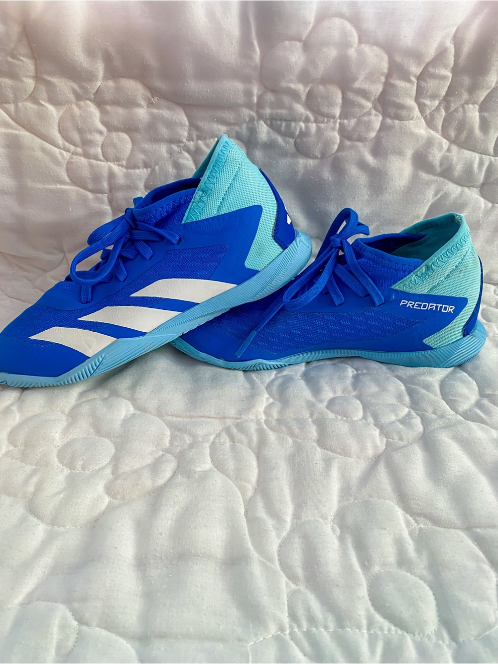 Adidas Predator Indoor Soccer Shoes - Bright Blue & Light Blue